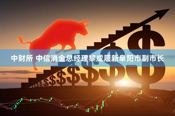 中财所 中信消金总经理黎成履新阜阳市副市长
