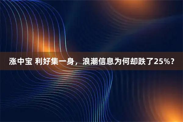 涨中宝 利好集一身，浪潮信息为何却跌了25%？