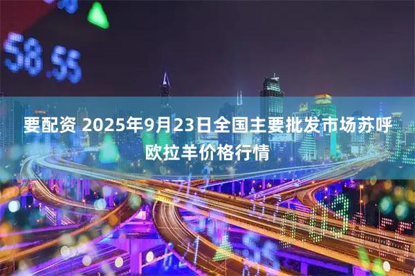 要配资 2025年9月23日全国主要批发市场苏呼欧拉羊价格行情