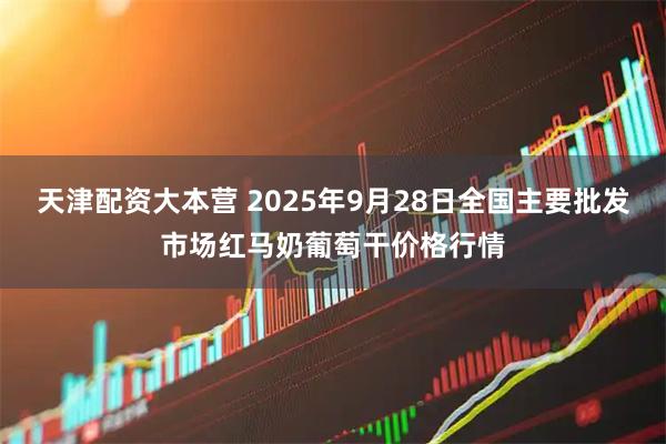 天津配资大本营 2025年9月28日全国主要批发市场红马奶葡萄干价格行情