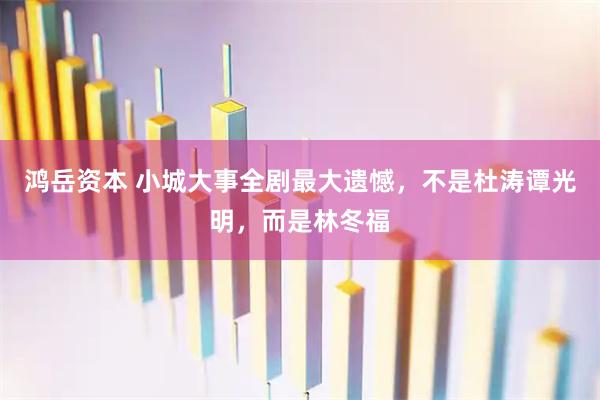 鸿岳资本 小城大事全剧最大遗憾，不是杜涛谭光明，而是林冬福