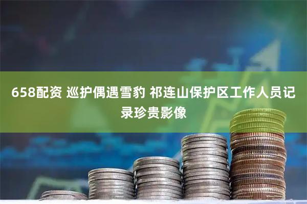 658配资 巡护偶遇雪豹 祁连山保护区工作人员记录珍贵影像